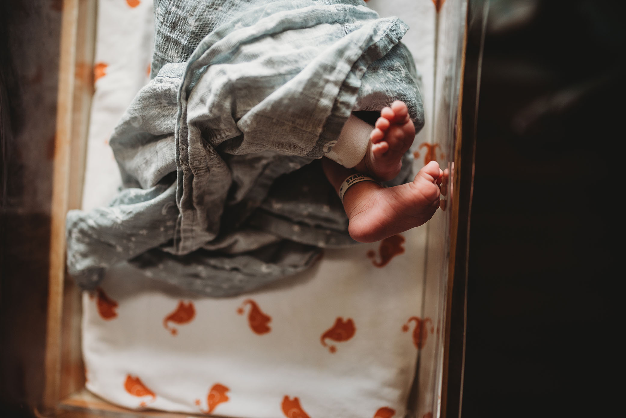 Hospital and Birth Photography 